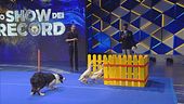 Matteo Carboni e la duck agility