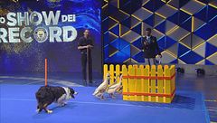 Matteo Carboni e la duck agility