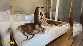 Aliia Nasyrova: la donna dai capelli più lunghi del mondo