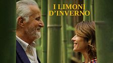 I limoni d'inverno