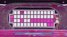Animali in musica