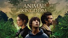 The animal kingdom