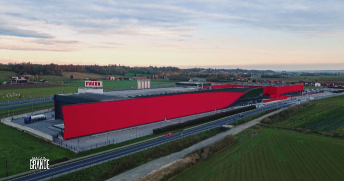 Pensa in grande: La storia dell'azienda Maina Video | Mediaset Infinity