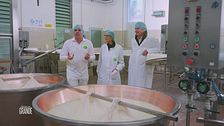 Ferrari Giovanni Industria Casearia: l'unione di due mondi