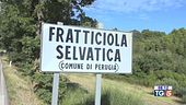 Uccide moglie e figlia, poi si toglie la vita