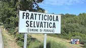 Uccide moglie e figlia, poi si toglie la vita
