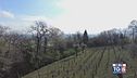 Gusto di Vino - Franciacorta