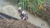 Un autunno improvviso