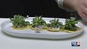 Ravioli con erbe selvatiche