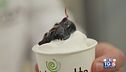 Gusto Verde: gelato artigianale fatto in casa