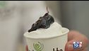 Gusto Verde: gelato artigianale fatto in casa