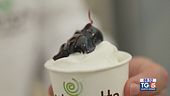 Gusto Verde: gelato artigianale fatto in casa