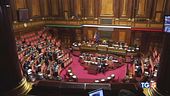 Election day 8 e 9 giugno