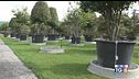 Memorial Vannucci Piante Un impegno per salvare il pianeta