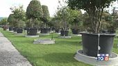 Memorial Vannucci Piante Un impegno per salvare il pianeta