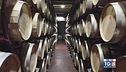 Gusto di Vino: un successo importante del vino italiano nel mondo