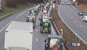 Rabbia agricoltori Ue: vi sosterremo