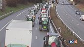 Rabbia agricoltori Ue: vi sosterremo