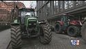La rabbia e i trattori arrivano in Europa