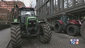 La rabbia e i trattori arrivano in Europa
