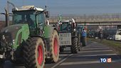 La marcia dei trattori "Arriveremo a Roma"