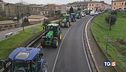 Agricoltori in marcia "Giovedì saremo a Roma"