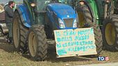 Marcia dei trattori Prima risposta da Ue