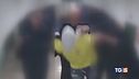 Detenuto torturato in carcere a Reggio Emilia