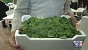Gusto Verde: Fruit Logistica a Berlino