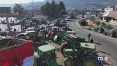 Protesta agricoltori si cercano soluzioni