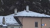 Piove ma fa caldo E' allerta zanzare