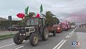 Trattori e mucche, monta la protesta