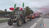 Trattori e mucche, monta la protesta
