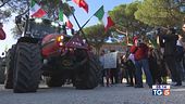 I trattori a Roma "L'Ue faccia di più"