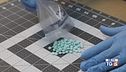 Anche in Italia scatta allarme sul Fentanyl