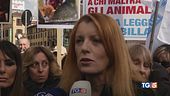 Violenze su animali ora pene più severe
