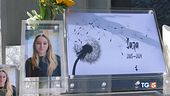 "Perchè così tanta insensata violenza?"