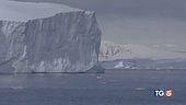 Cop29: sarà altra occasione perduta!