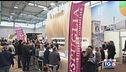 Gusto DiVino: il vino pugliese