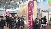 Gusto DiVino: il vino pugliese