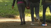 Violenza su una 16enne arrestato in flagranza
