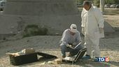Unabomber, test dna per altre 15 persone?