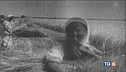 Holodomor - il genocidio per fame