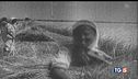 Holodomor - il genocidio per fame