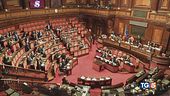 Taglio canone Rai maggioranza si divide