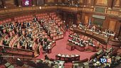 Taglio canone Rai maggioranza si divide