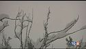 Neve a bassa quota, magia dei mercatini