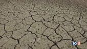 Il marzo più caldo Clima alla corte Ue