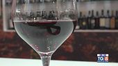 Gusto di Vino - Il Vinitaly