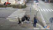 Gang di ragazzine sfregiato 31enne